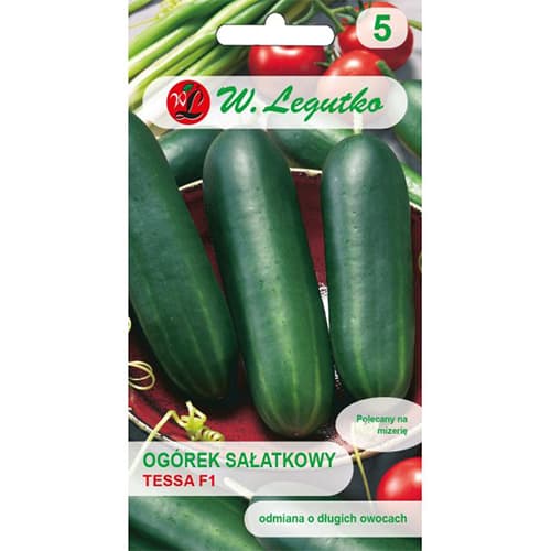 Ogórek gruntowy sałatkowy Tessa F1 interface.image 1 interface.art 86884
