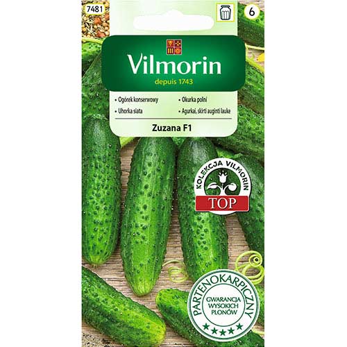 Ogórek gruntowy Zuzanna F1 Vilmorin interface.art zdjęcie 1 Ogórek gruntowy Zuzanna F1 Vilmorin interface.image 1 interface.art 77733