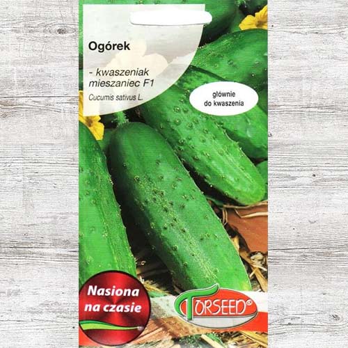 Ogórek Julian F1 interface.art zdjęcie 1 Ogórek Julian F1 interface.image 1 interface.art 86979