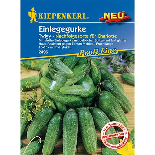 Ogorek Twigy F1 interface.art zdjęcie 1 Ogorek Twigy F1 interface.image 1 interface.art 87779