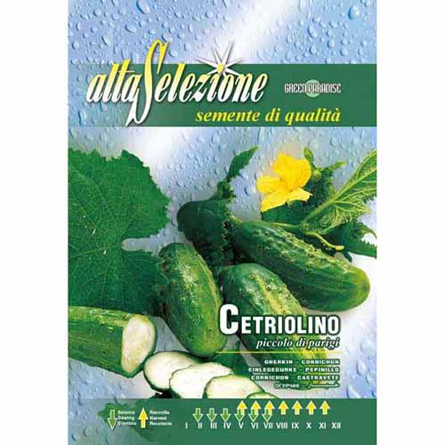 Ogórek korniszon Piccolo di parigi Morami interface.image 1 interface.art 87145