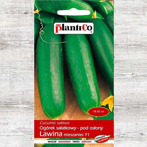 Ogórek Lawina F1 interface.art zdjęcie 1 Ogórek Lawina F1 interface.image 1 interface.art 86967