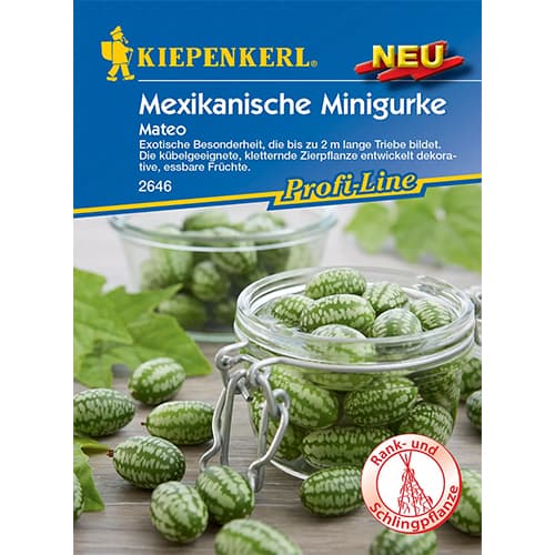 Melotria (ogorek meksykanski) Mateo interface.art zdjęcie 1 Melotria (ogorek meksykanski) Mateo interface.image 1 interface.art 96634