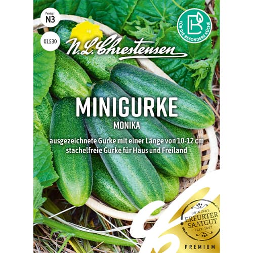 Ogorek Monika interface.image 1 interface.art 86066