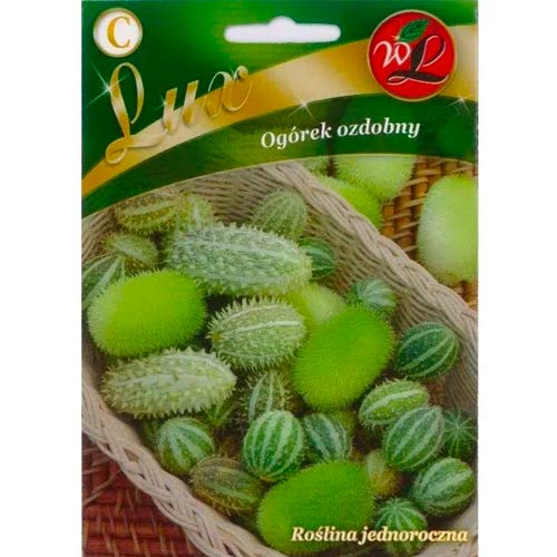 Ogórek ozdobny, mix interface.image 1 interface.art 50114
