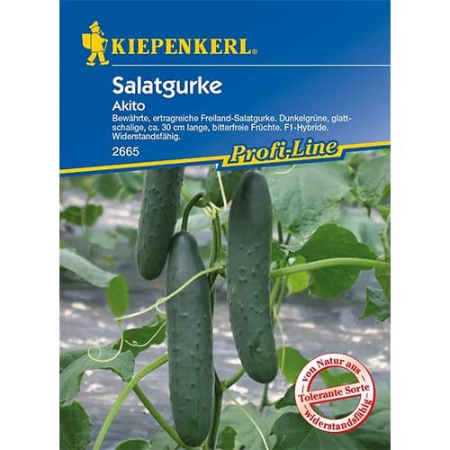 Ogorek Akito interface.image 1 interface.art 96667