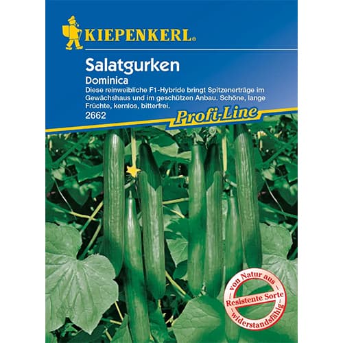 Ogorek Dominica F1 interface.image 1 interface.art 96669