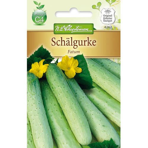 Ogorek Fatum interface.image 1 interface.art 78789