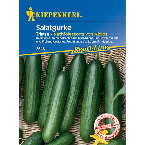 Ogorek Midele (Tristan) F1 interface.image 1 interface.art 50023