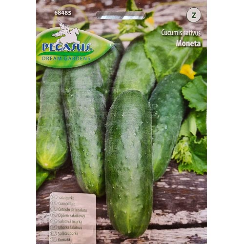 Ogórek sałatkowy Moneta Kiepenkerl interface.image 1 interface.art 96670
