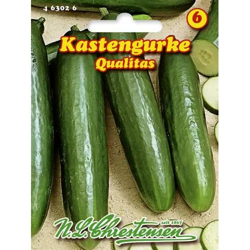 Ogorek Qualitas interface.image 1 interface.art 96478