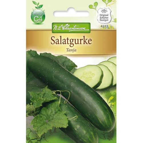 Ogorek Tanja interface.art zdjęcie 1 Ogorek Tanja interface.image 1 interface.art 78792