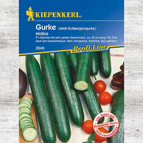 Ogórek sałatkowy wężowy Midios F1 interface.image 1 interface.art 86524