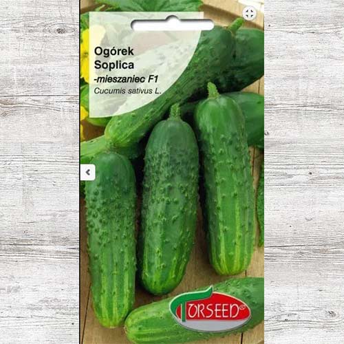 Ogórek Soplica F1 interface.art zdjęcie 1 Ogórek Soplica F1 interface.image 1 interface.art 86977