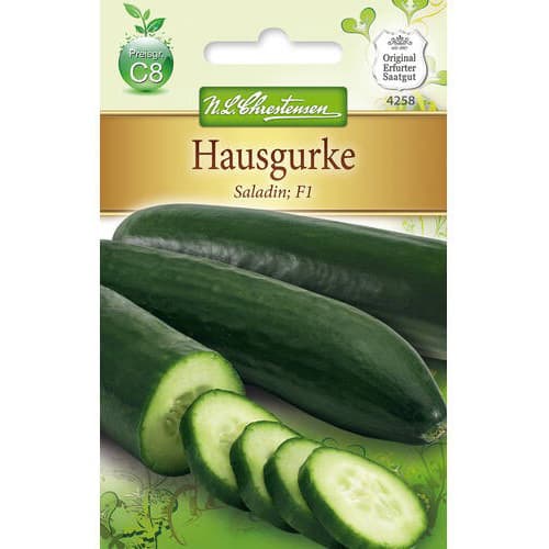 Ogorek Saladin F1 interface.image 1 interface.art 78787