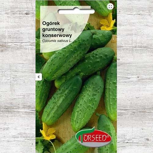 Ogórek Vert Petit de Paris interface.art zdjęcie 1 Ogórek Vert Petit de Paris interface.image 1 interface.art 86980