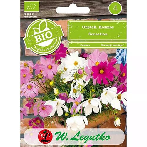 Kosmos Sensation, mix kolorow interface.image 1 interface.art 87085