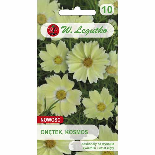 Onętek (Kosmos) żółty Legutko interface.image 1 interface.art 96794