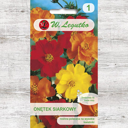 Onętek siarkowy (Kosmos), mieszanka Legutko interface.image 1 interface.art 87086