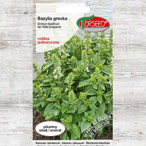 Oregano greckie, nasiona interface.art zdjęcie 1 Oregano greckie, nasiona interface.image 1 interface.art 87024