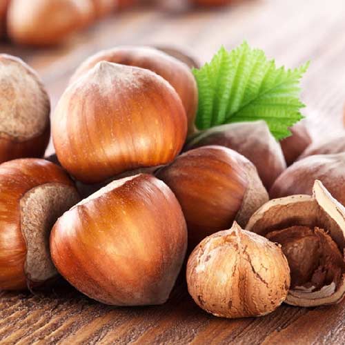 Orzech laskowy Sozi interface.image 1 interface.art 4283