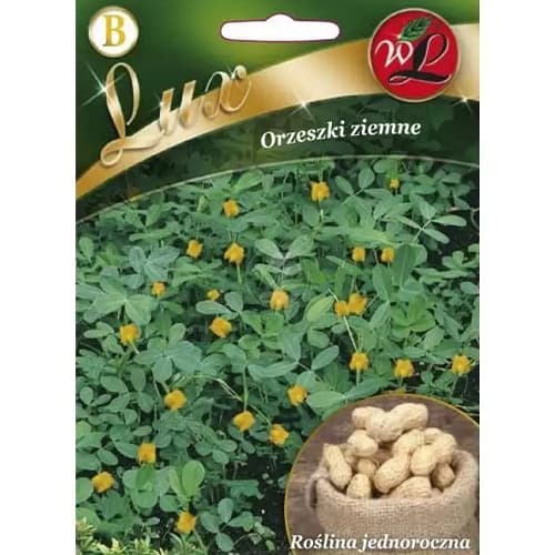 Orzeszki ziemne interface.image 1 interface.art 78667