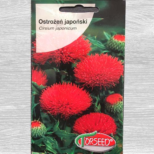 Ostrożeń japoński interface.image 1 interface.art 77571