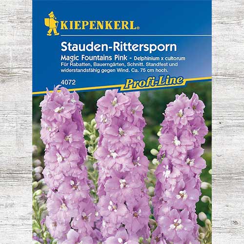 Ostróżka ogrodowa Magic Fountains Pink interface.art zdjęcie 1 Ostróżka ogrodowa Magic Fountains Pink interface.image 1 interface.art 86332