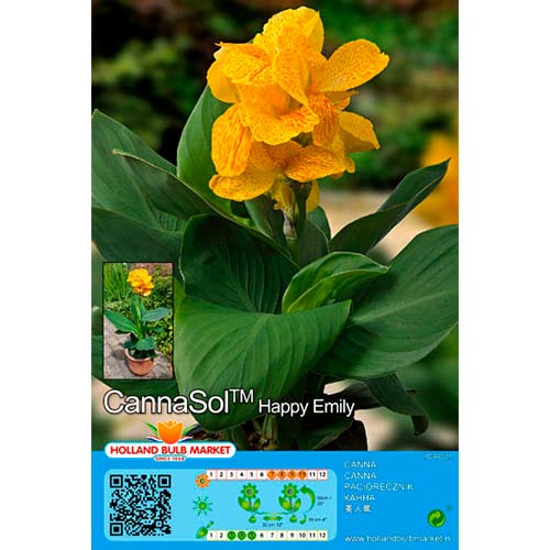 Paciorecznik (Canna) Happy Emily interface.image 1 interface.art 76402