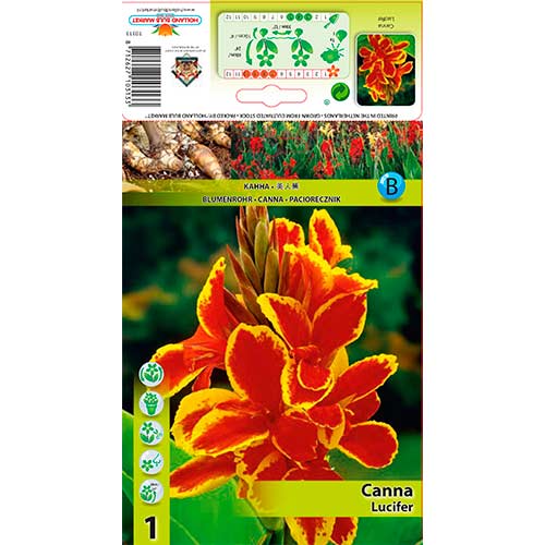 Paciorecznik (Canna) Lucifer interface.image 1 interface.art 76197