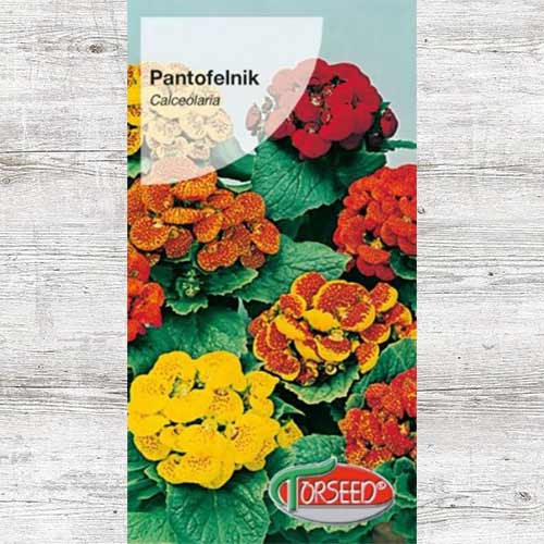 Pantofelnik, mieszanka interface.image 1 interface.art 87045