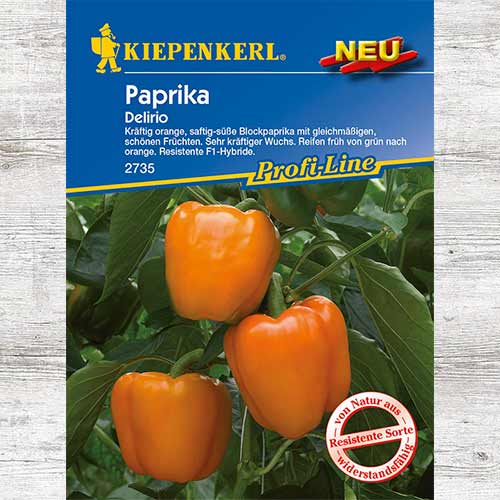 Papryka blokowa Delirio F1 interface.art zdjęcie 1 Papryka blokowa Delirio F1 interface.image 1 interface.art 86387