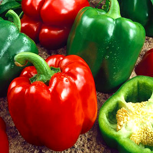 Papryka czerwona słodka Yolo Wonder interface.art zdjęcie 1 Papryka czerwona słodka Yolo Wonder interface.image 1 interface.art 8907