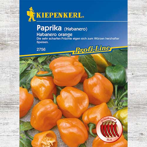 Papryka ostra chili Habanero orange interface.art zdjęcie 1 Papryka ostra chili Habanero orange interface.image 1 interface.art 86426