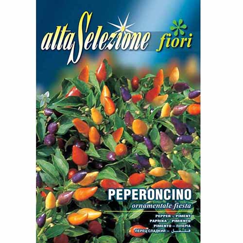 Papryka ozdobna Fiesta Morami interface.image 1 interface.art 96321