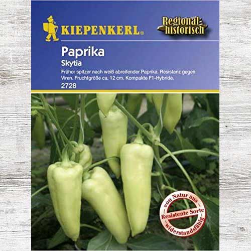 Papryka słodka Skytia F1 interface.art zdjęcie 1 Papryka słodka Skytia F1 interface.image 1 interface.art 86495