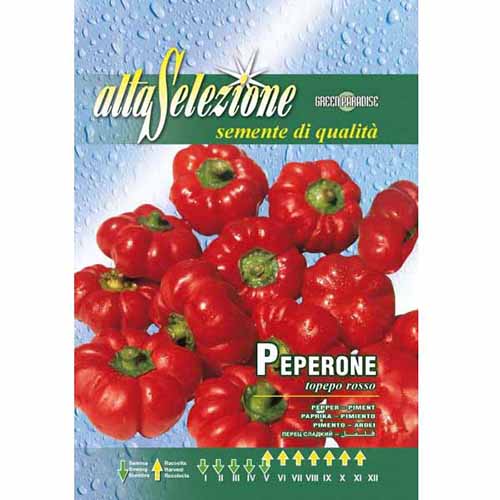 Papryka Topepo rosso Morami interface.art zdjęcie 1 Papryka Topepo rosso Morami interface.image 1 interface.art 96371