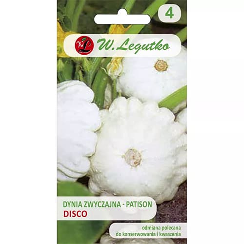 Patison Disco interface.image 1 interface.art 78462