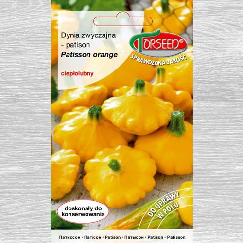 Patison (Dynia zwyczajna) Patisson Orange interface.art zdjęcie 1 Patison (Dynia zwyczajna) Patisson Orange interface.image 1 interface.art 77611