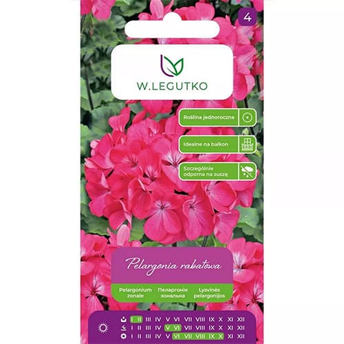 Pelargonia rabatowa Gama F1 różowa interface.art zdjęcie 1 Pelargonia rabatowa Gama F1 różowa interface.image 1 interface.art 69621