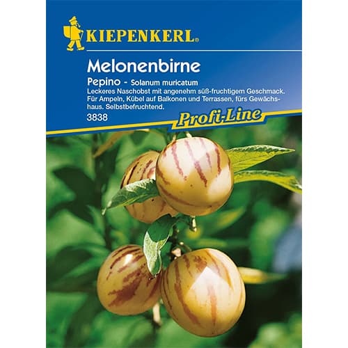 Pepino (Psianka melonowa) interface.image 1 interface.art 86478