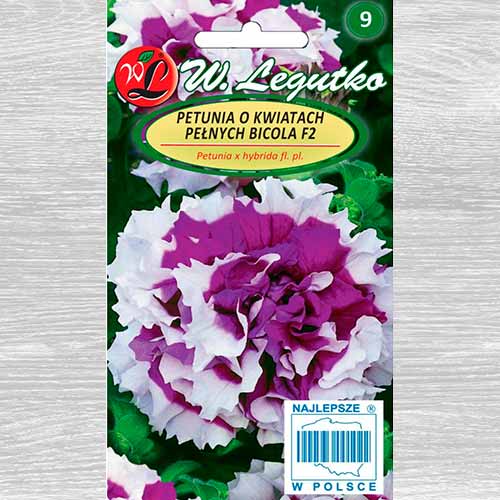 Petunia o kwiatach pełnych Bicola F2 interface.image 1 interface.art 69624