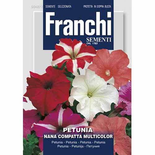 Petunia kompaktowa niska, mieszanka kolorów Morami interface.image 1 interface.art 96365