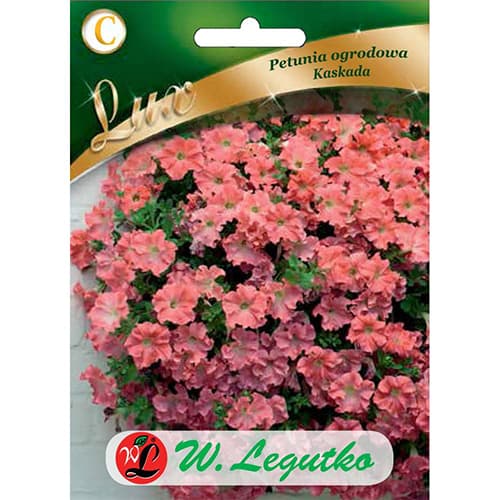 Petunia Kaskada łososiowa interface.image 1 interface.art 78671