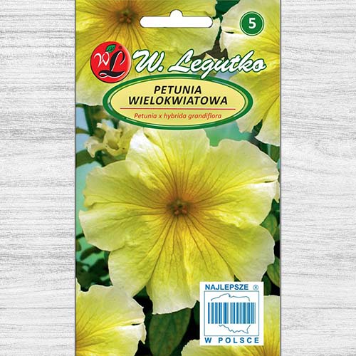 Petunia ogrodowa wielkokwiatowa żółta interface.image 1 interface.art 78636