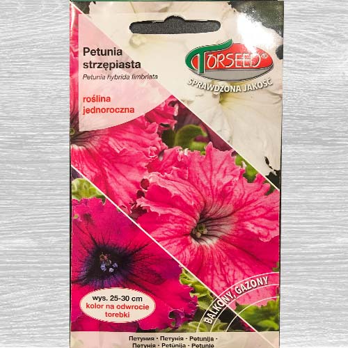 Petunia strzępiasta Gottfried Michaelis interface.image 1 interface.art 77573