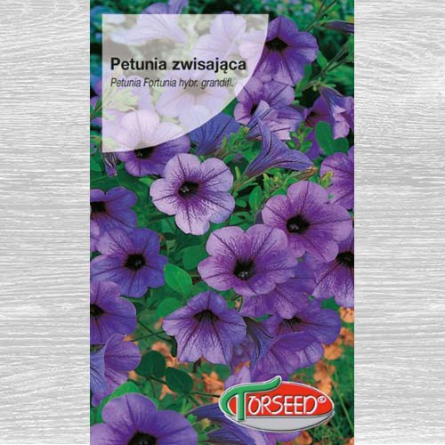 Petunia zwisająca Fortunia interface.image 1 interface.art 77576