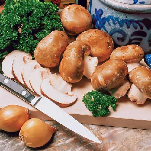 Pieczarka Polna interface.image 1 interface.art 9743