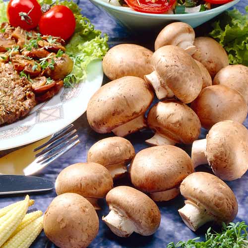 Pieczarka Polna interface.image 2 interface.art 9743