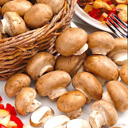 Pieczarka Polna interface.image 3 interface.art 9743